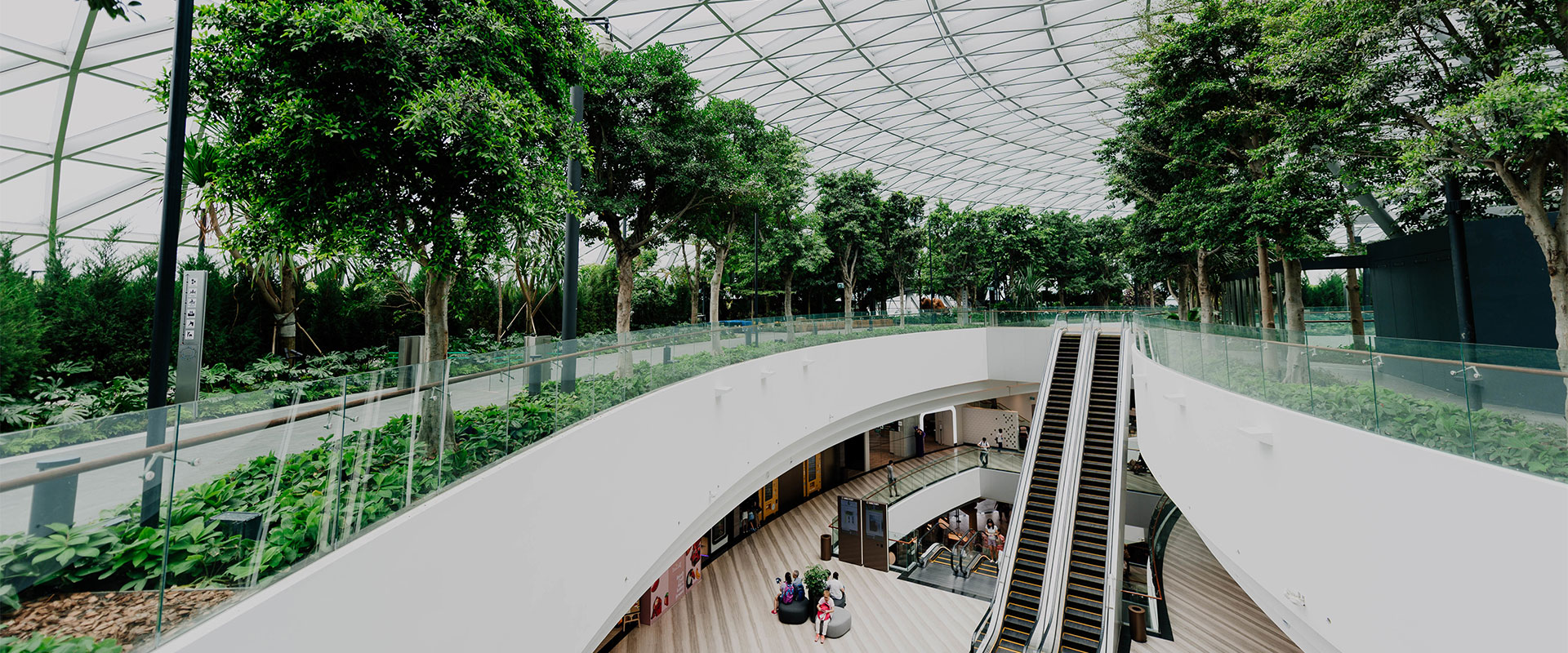 Čelične konstrukcije | Krovna konstrukcija za trgovački centar